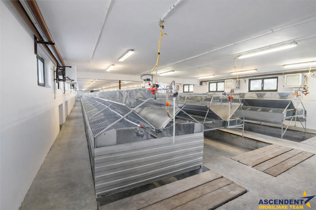 FILM! Ferma de iepuri,Malnas,Covasna: domeniu:comercial indu