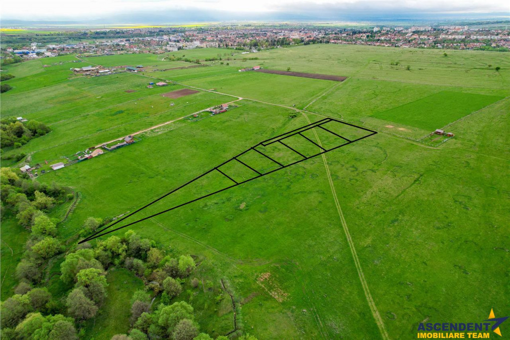 FILM! Loturi teren extravilan, recomandate case de vacanta r