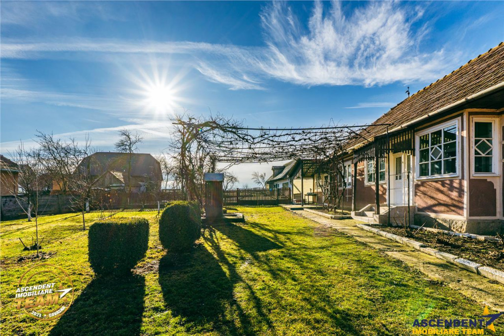 FILM! Casa traditionala, pe domeniu pretios, de 7.608 mp, Ce