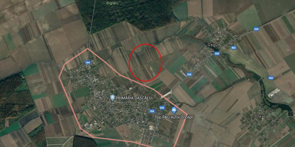 Teren Dascalu 19000 mp - Posibilitate de parcelare!