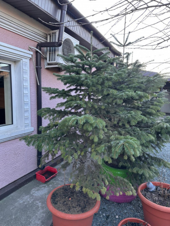 Casă 3 camere de vânzare zona Palas – 92 mp utili, teren