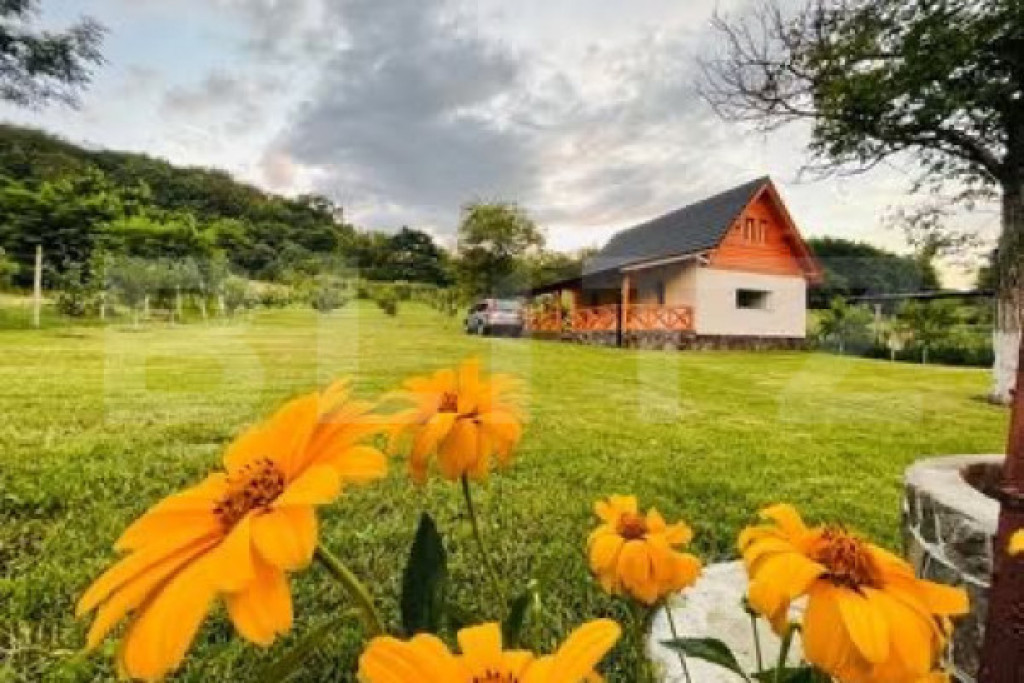 Cabană deosebită cu livadă și panoramă superbă–refug