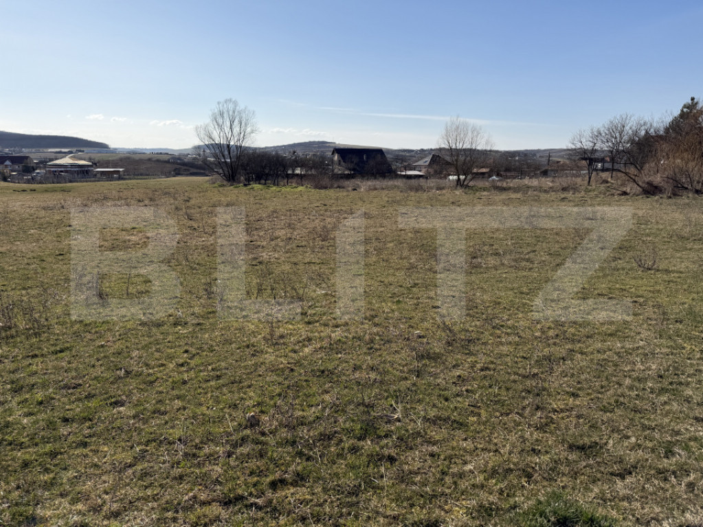 Teren intravilan in localitatea Hereclean in suprafata de 58