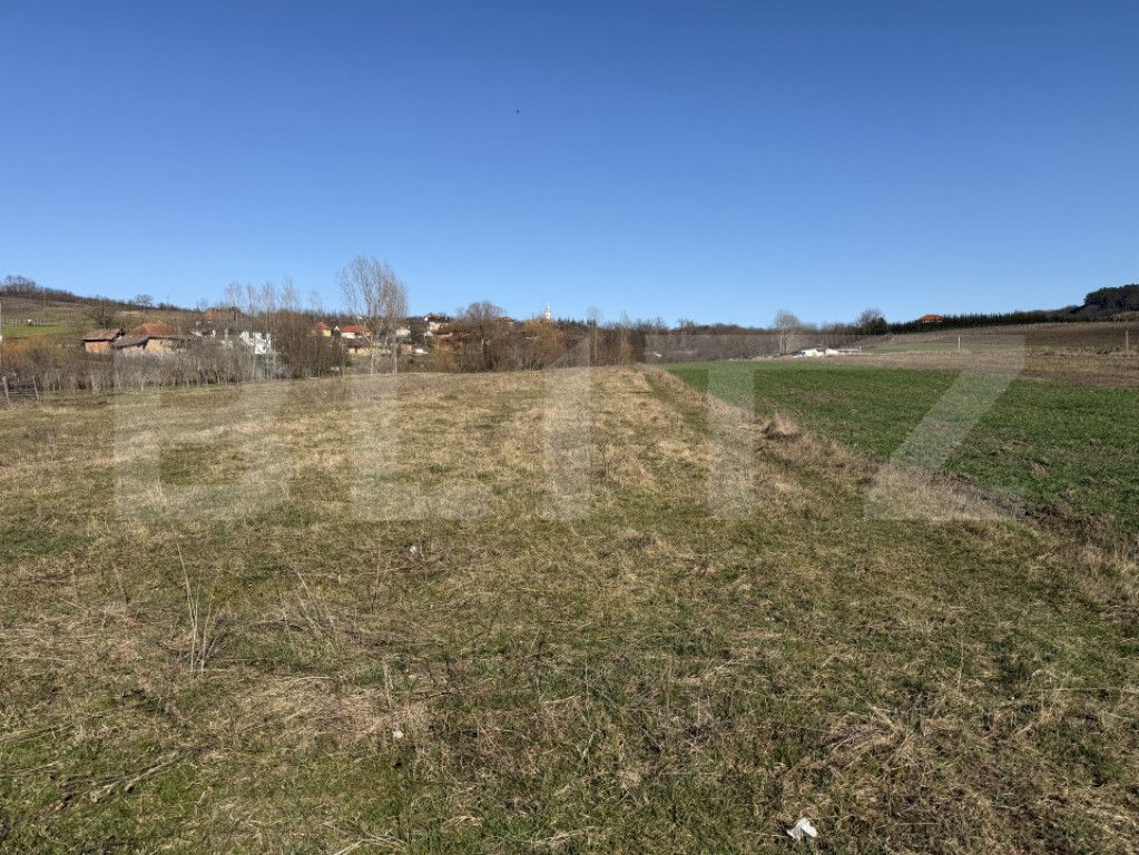 Teren intravilan in localitatea Hereclean in suprafata de 29