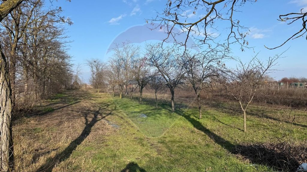 Teren 2,300mp Petresti / Strada Lacramioarei