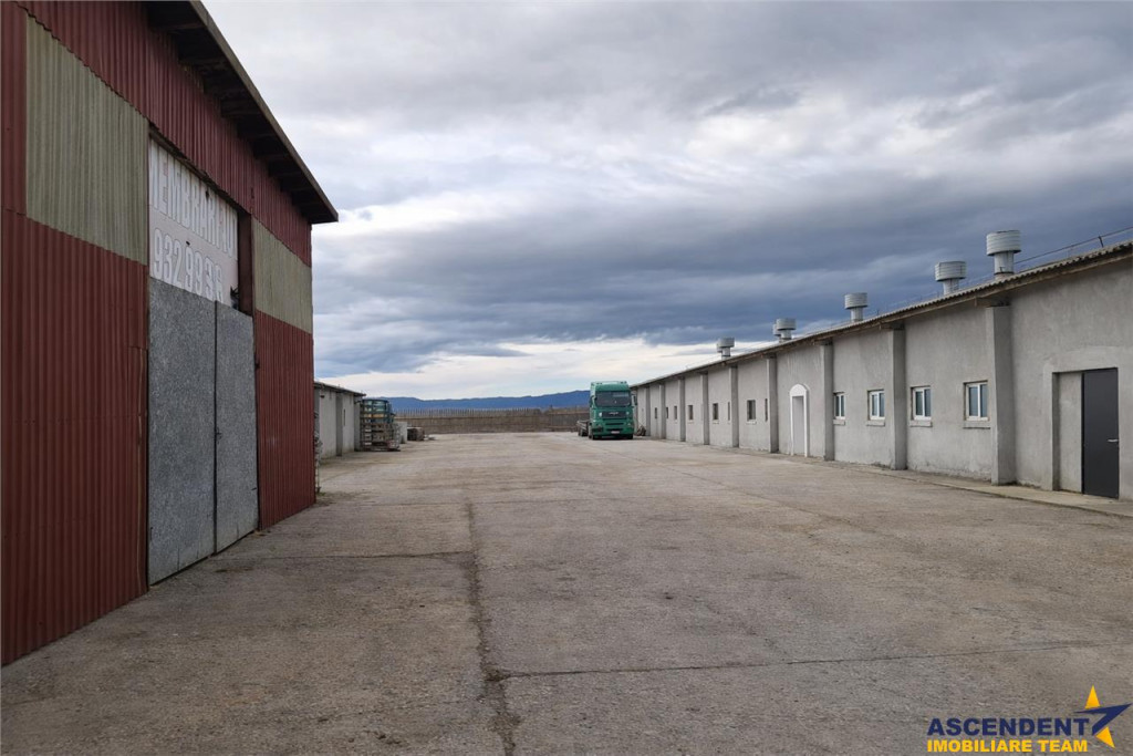 Hala industriala versatila,spatii cazare, platforma betonata