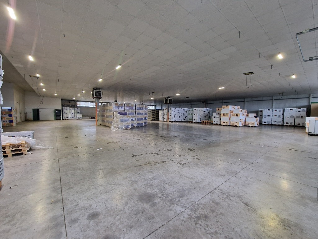 Hala industriala 1400 mp,spatiu depozitare logistica birouri Lugojului