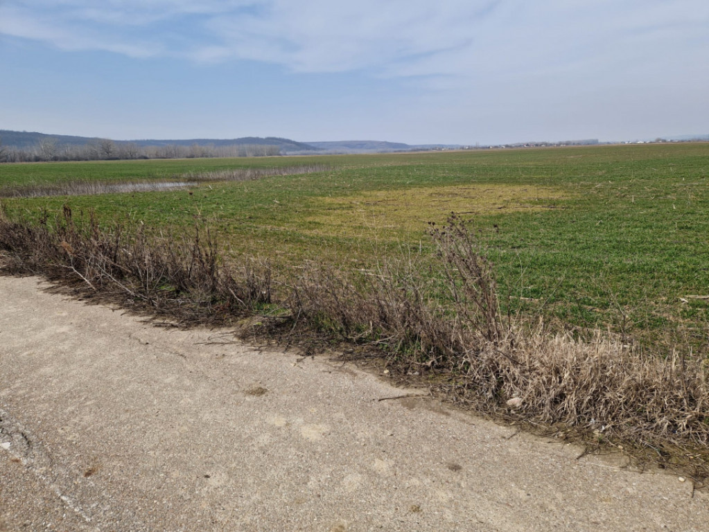 Teren intravilan de vânzare – 3300 mp, Leșile