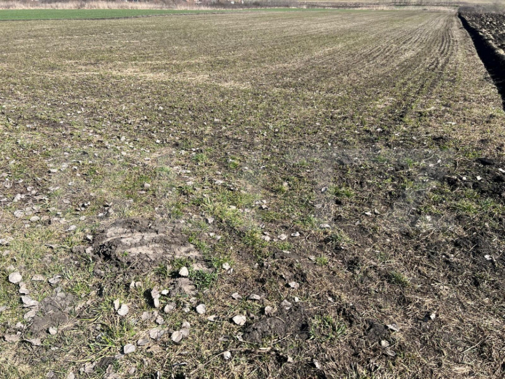 Teren de 11200mp cu potențial pentru investiții în Bonți