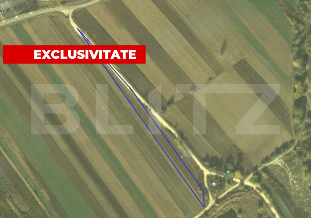 Teren generos 4300 mp – Pârâul lui Mihai, ideal pentru c