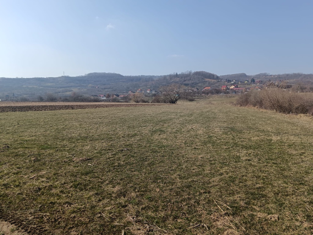 Remetea Chioarului, 29 ari teren