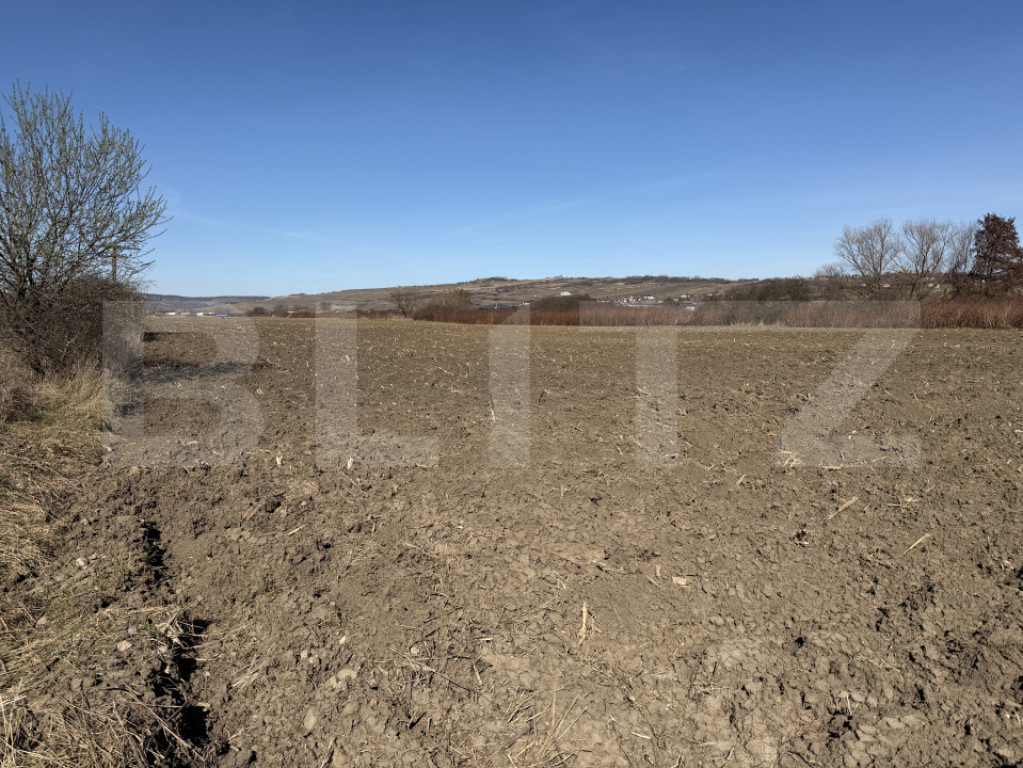 Teren extravilan in suprafata de 4000 mp in loc. Hereclean