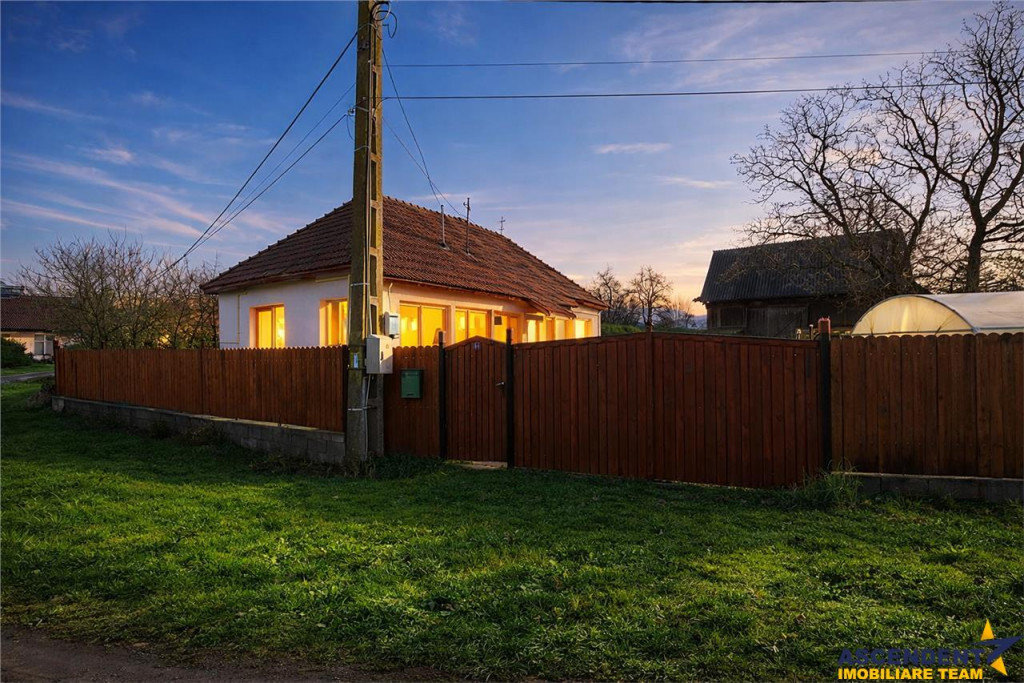 FILM! Casa cu sura, pivnita, balta cu pesti, 2.280 mp teren