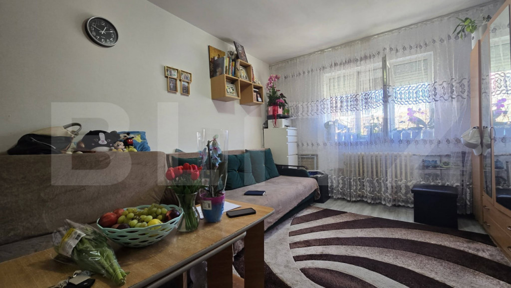 Garsoniera, 22mp, mobilata, utilata, Blascovici1