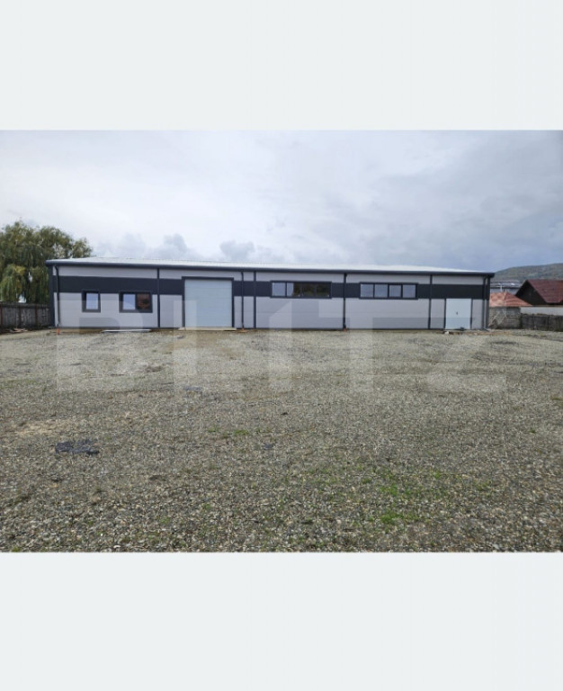 Vanzare Hale industriale