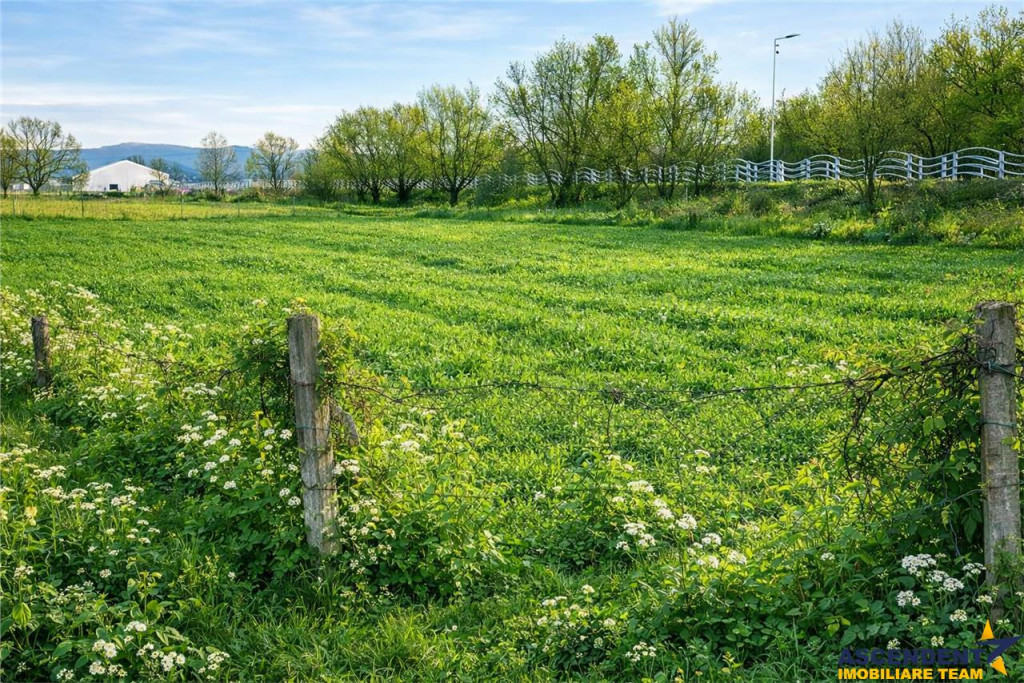 Teren extravilan 1450 mp, din care curti constructii 312 mp,