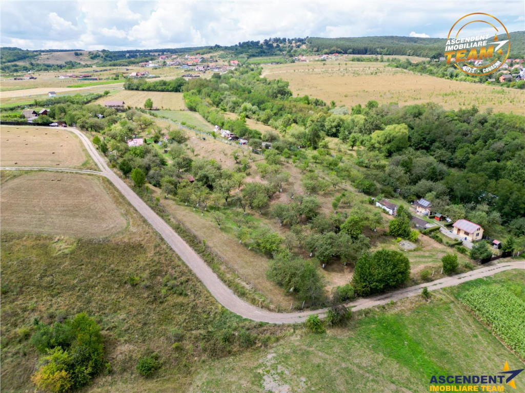 FILM! Confortabila ariere, 4.500 mp, arbori roditori, Sancra