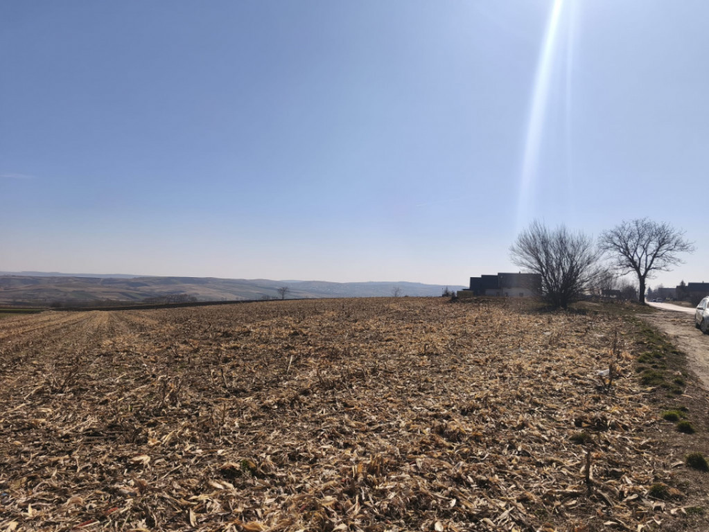 Teren 6500mp, 40ml deschidere la E85, Granicesti, Suceava