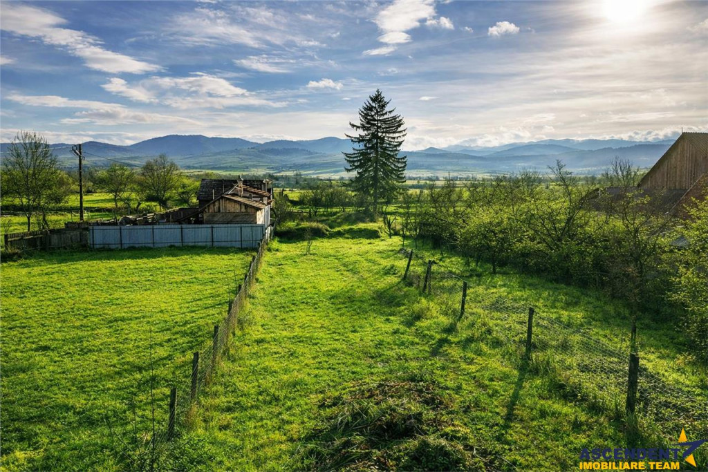 Gospodarie cu anexa, pivnita, iaz cu pesti si 2.280 mp de te