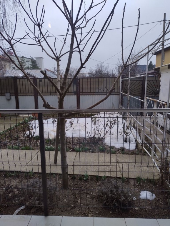 Aparatorii patriei parter la curte