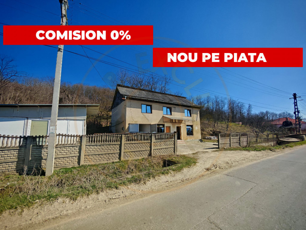 Casa spatiu comercial Arges Darmanesti