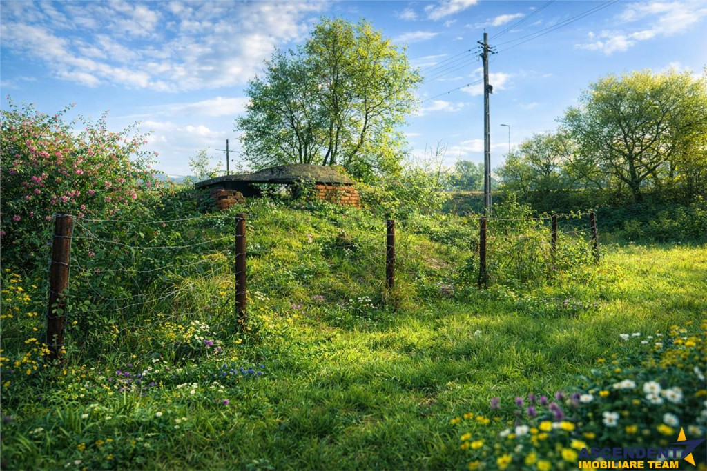 Teren intravilan 338 mp, Lunca Oltului, Sfantu Gheorghe