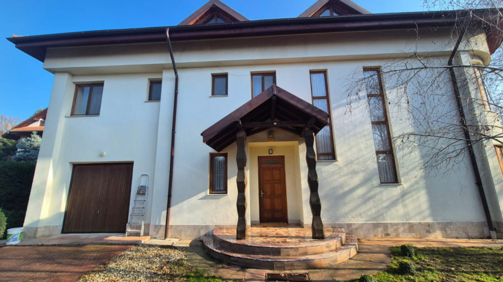 Teren 1616 mp Dascalu