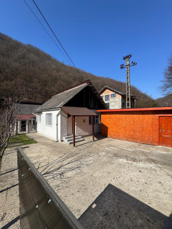 Două case în aceeași curte, Valea Borcutului – 85 mp ut