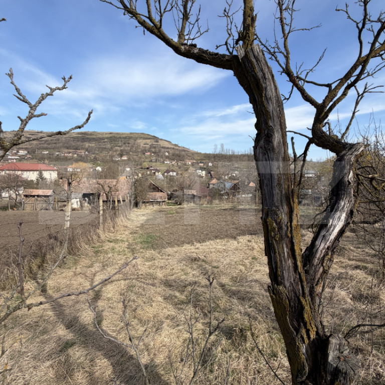 Casa si teren in Ocnita