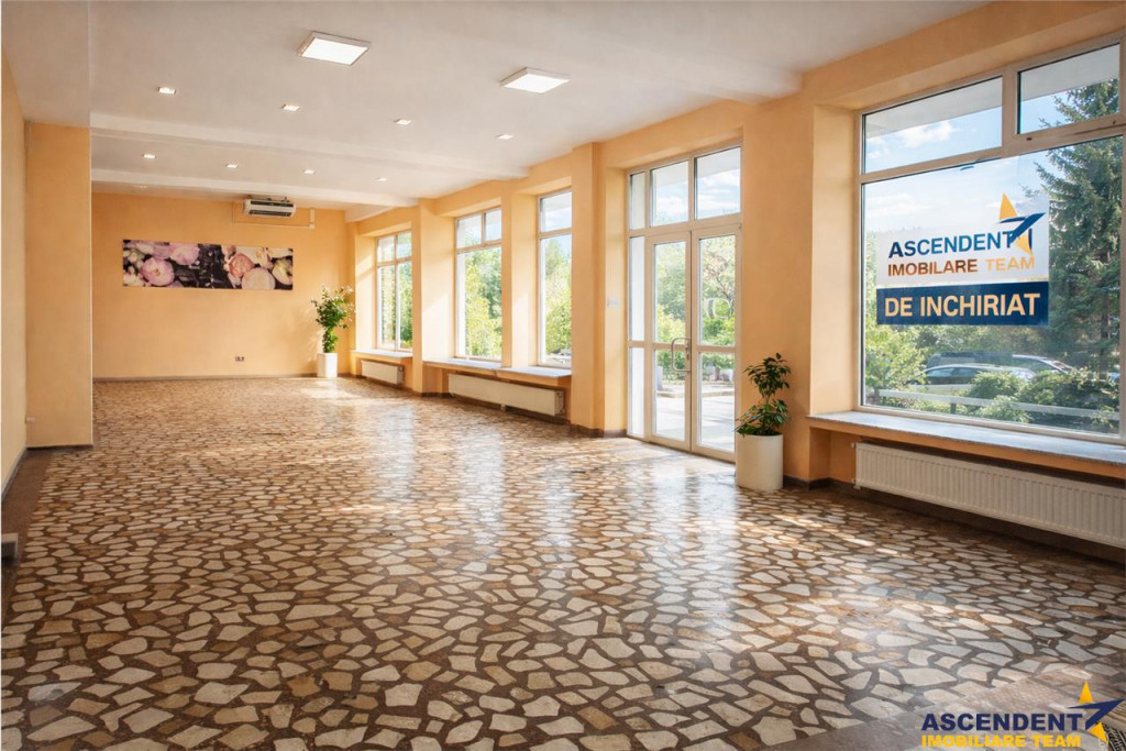Spatiu comercial vitrinat,dublu acces,257 mp,disponibil si j