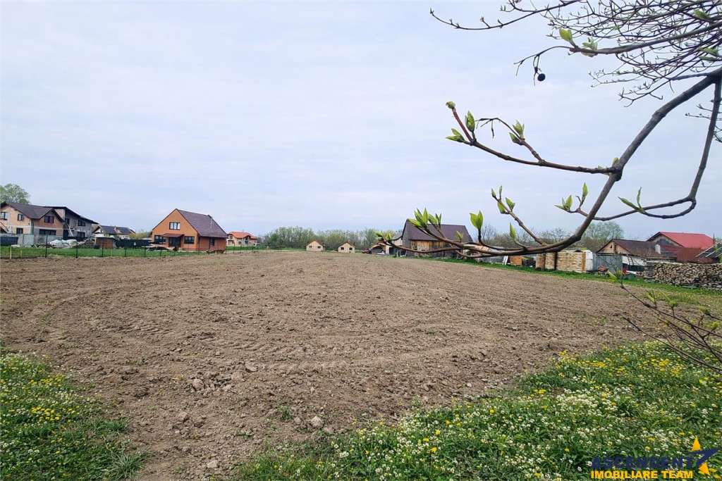 Teren 1.700 mp intravilan, natura, vecinatati bune, potentia