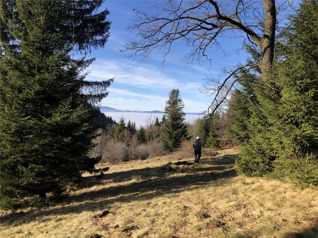 Teren superb extravilan in apropiere de Poiana Brasov