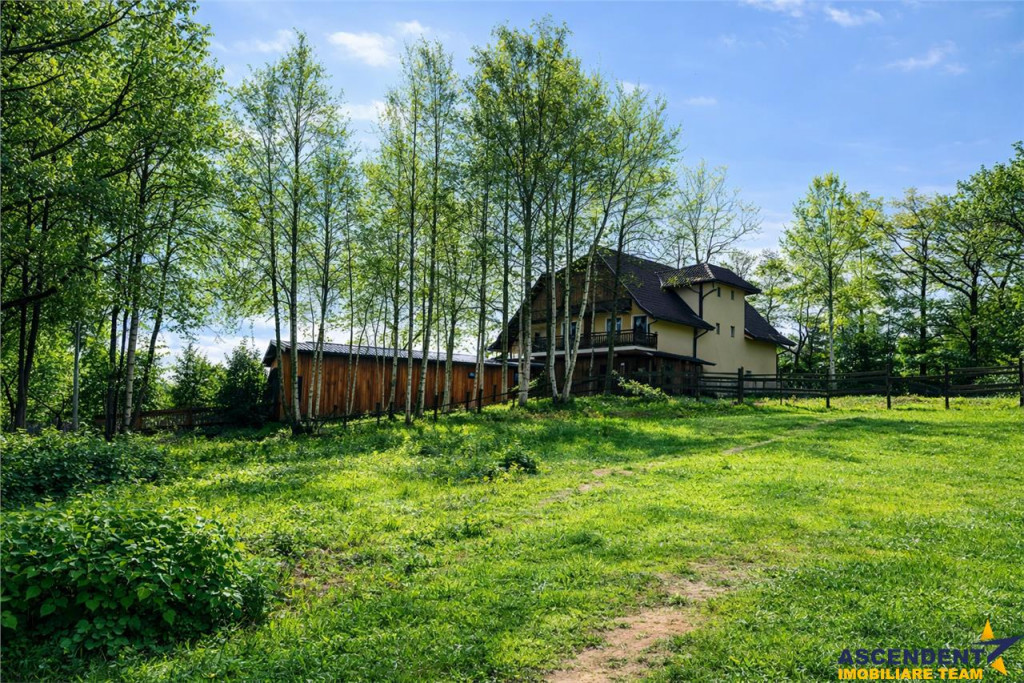 Teren intravilan construibil 550 mp, Tohanita, Zarnesti,Bras