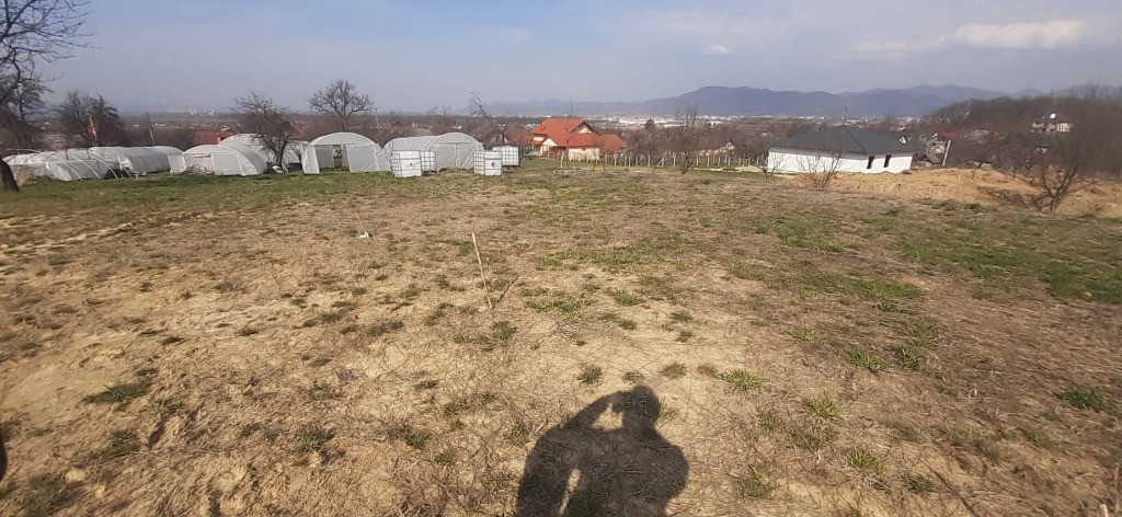 Satu Nou de Jos, casa noua