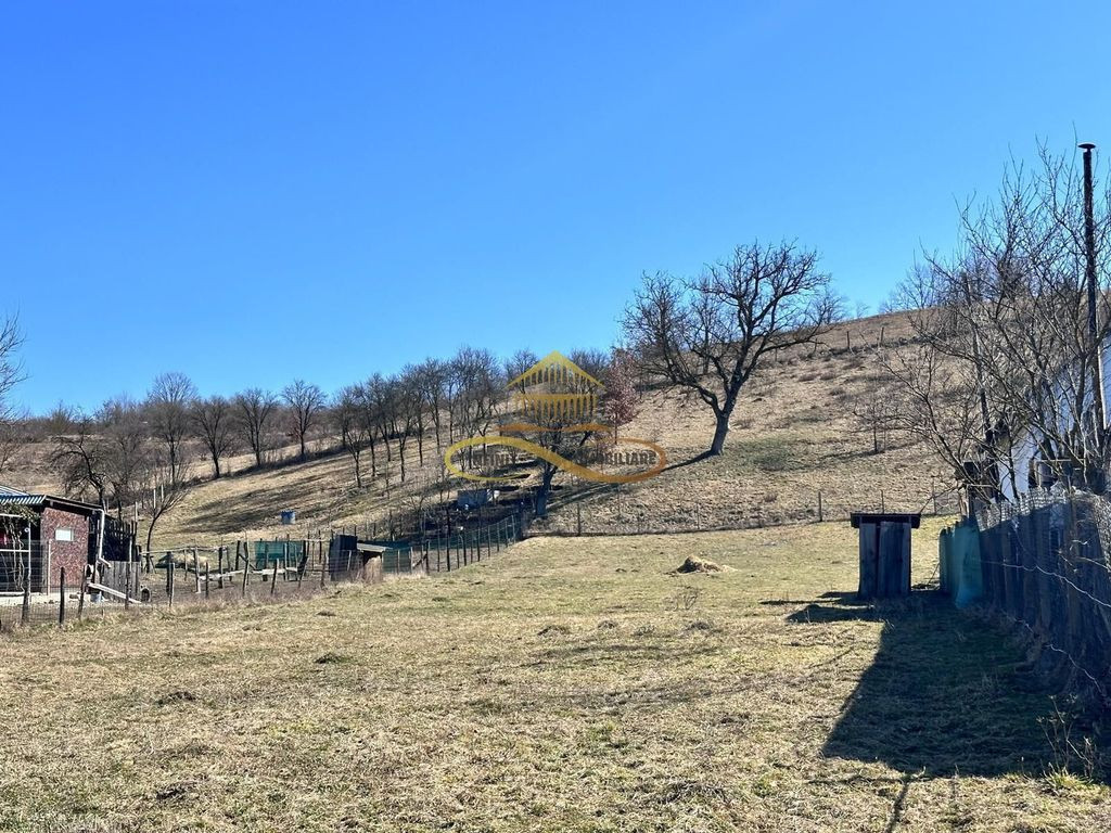 Teren Intravilan Luncani Bacau