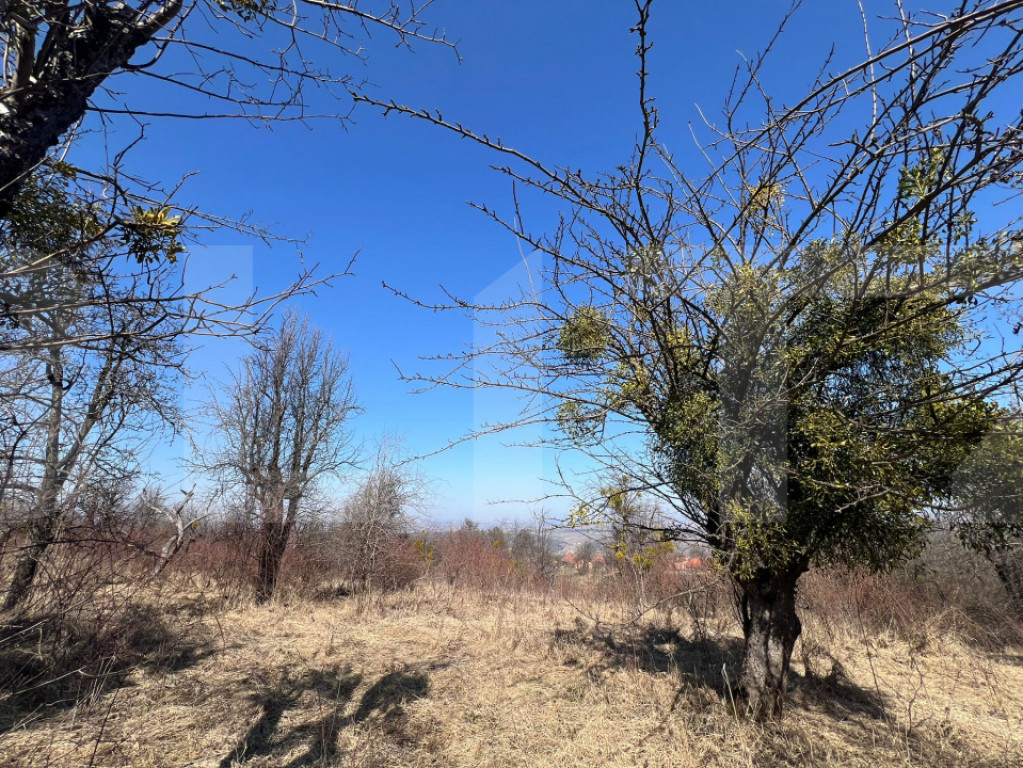 Teren intravilan de vanzare sat Gheorgheni