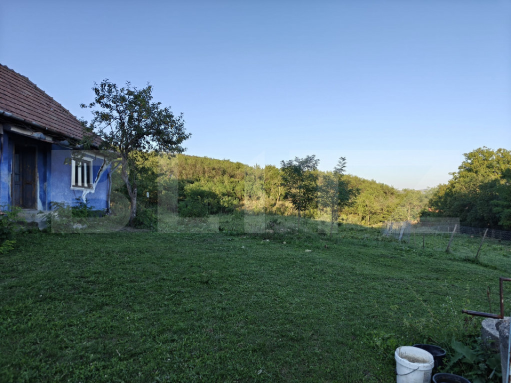 4700 mp teren intravilan - Rascruci - EXCLUSIVITATE