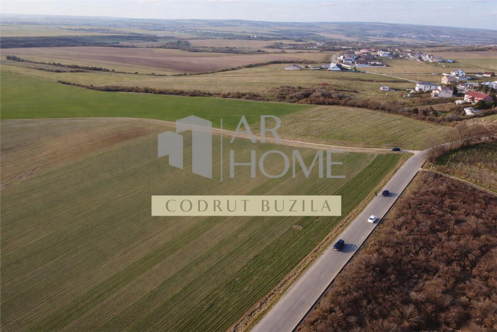 Teren intravilan 2500mp, Bucov