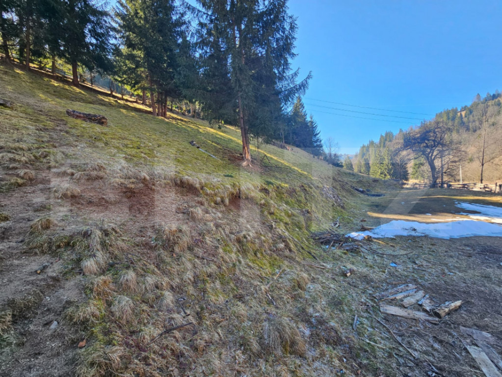 Teren de vânzare – 2.977 mp, intravilan, Scărișoara