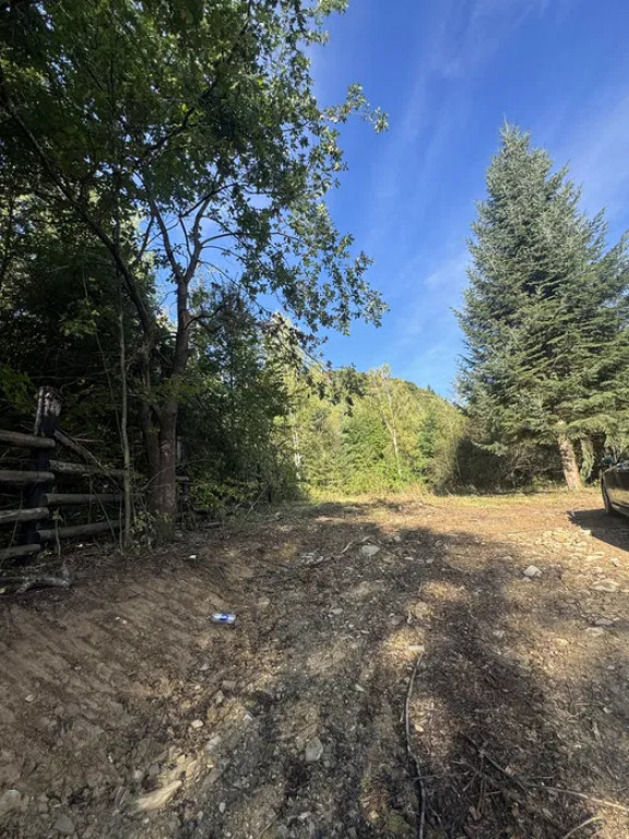 Teren , platou drept, 6000mp , Sucevita