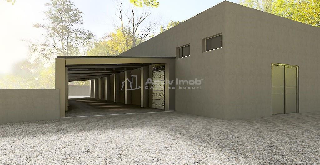 Hala 700 mp - teren 3998 mp - Nufarul