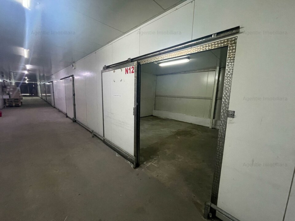 Spatii de depozitare 25 - 60 mp: produse BACANIE - Norme DSV