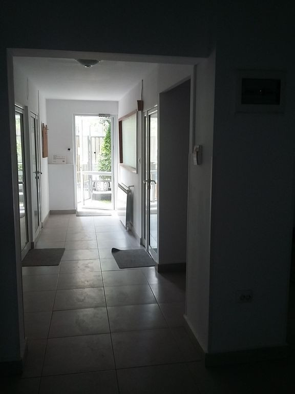 Theodor Pallady 300 mp