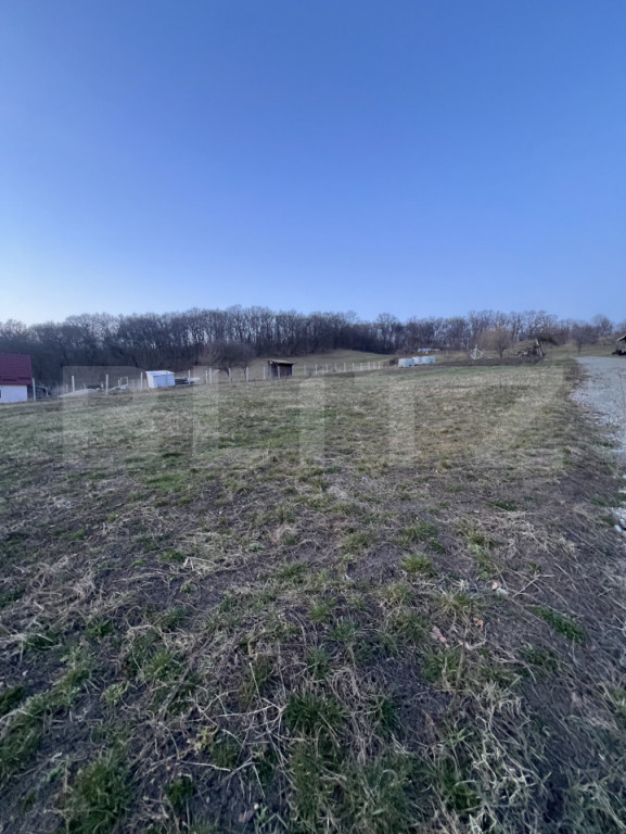 Parcele la padure in extensie intravilan , Drumul Tarpiului