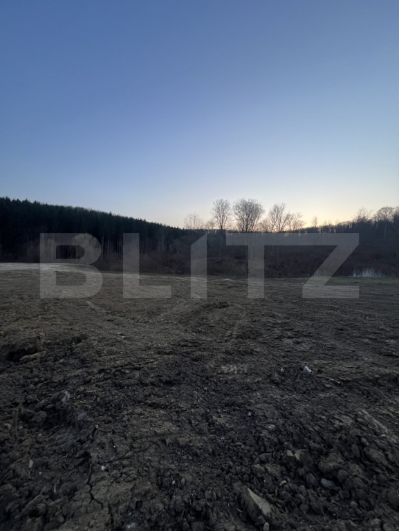 Viitor teren intravilan, parcele cu utilitati, Drumul Tarpiu