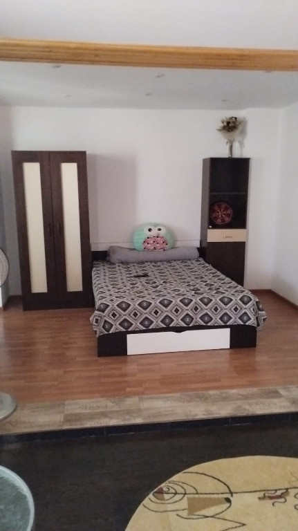 Inchiriez apartament la casa 1 camera zona Paltinis