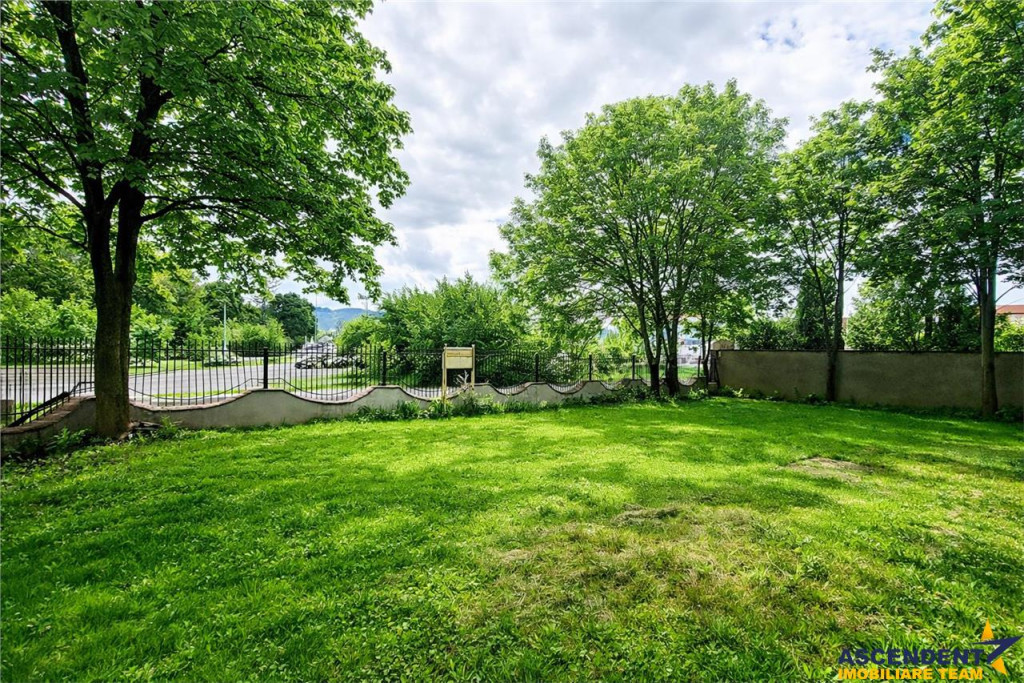 Vila impetuoasa pe 700mp teren:Spatiu versatil pentru locuin