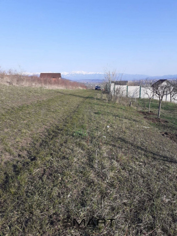 Teren intravilan Sura Mare 550mp