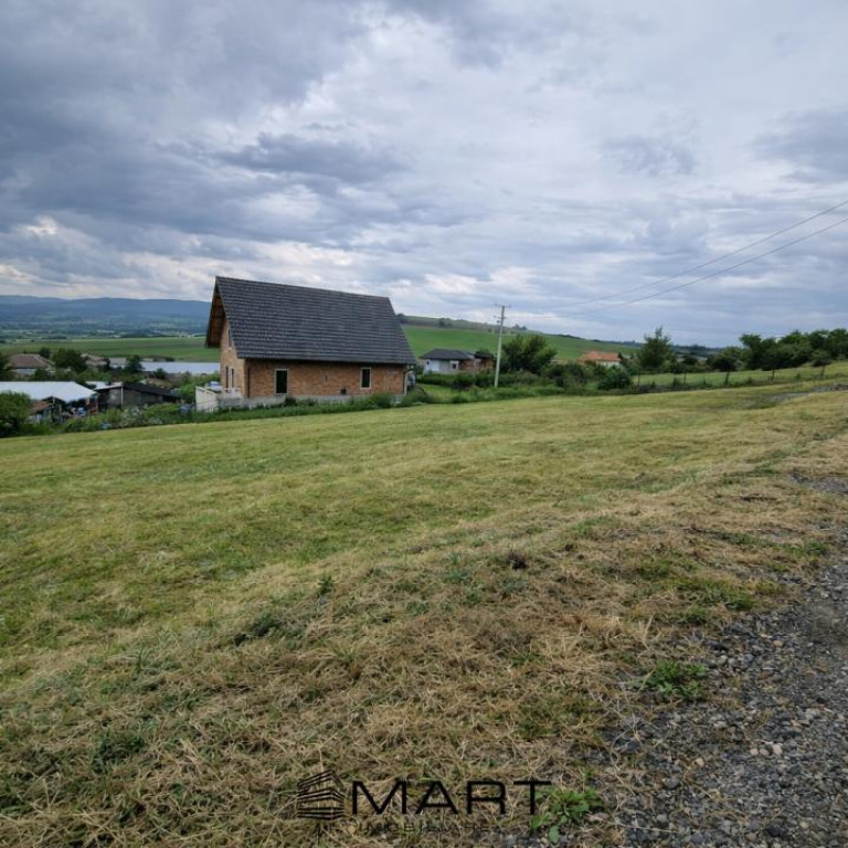 Teren intravila Sura Mare 1000mp