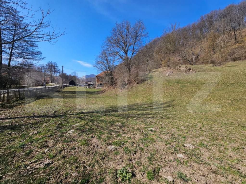 Teren intravilan 6.820 mp cu casă, pădure și râu – Alm